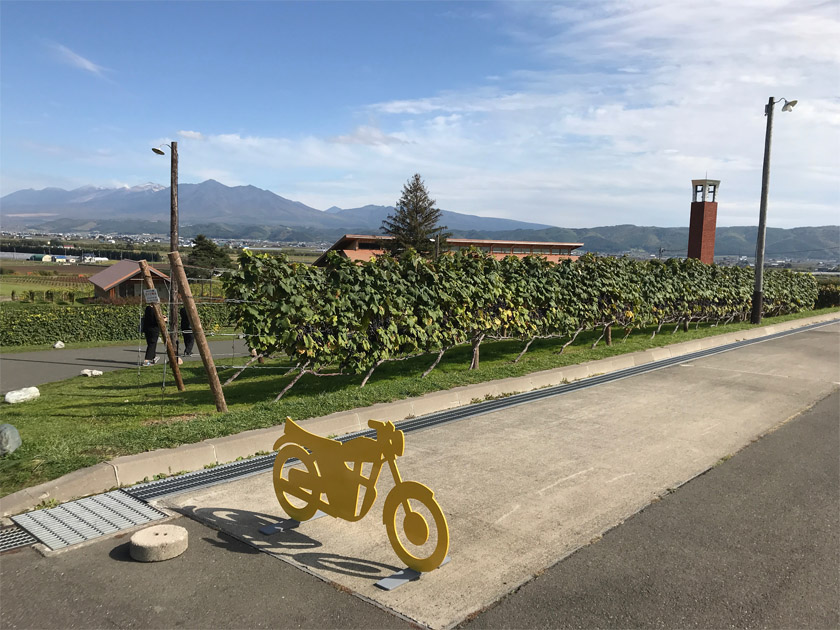 f:id:chiyan1026:20191107175337j:plain f:id:chiyan1026:20191107175337j:plain