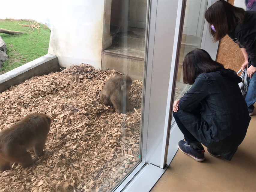 f:id:chiyan1026:20201110091108j:plain f:id:chiyan1026:20201110091108j:plain