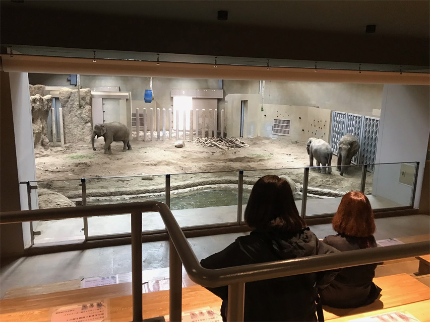 f:id:chiyan1026:20201110091323j:plain f:id:chiyan1026:20201110091323j:plain