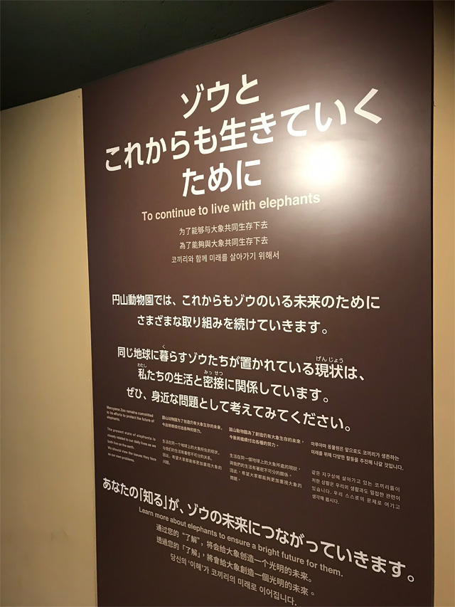 f:id:chiyan1026:20201110091437j:plain f:id:chiyan1026:20201110091437j:plain