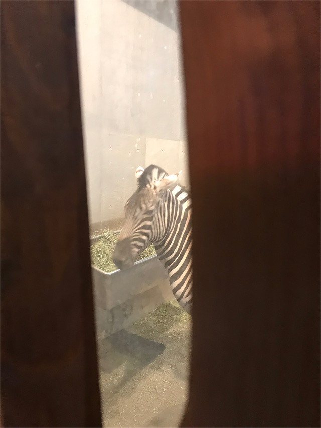 f:id:chiyan1026:20201110091604j:plain f:id:chiyan1026:20201110091604j:plain