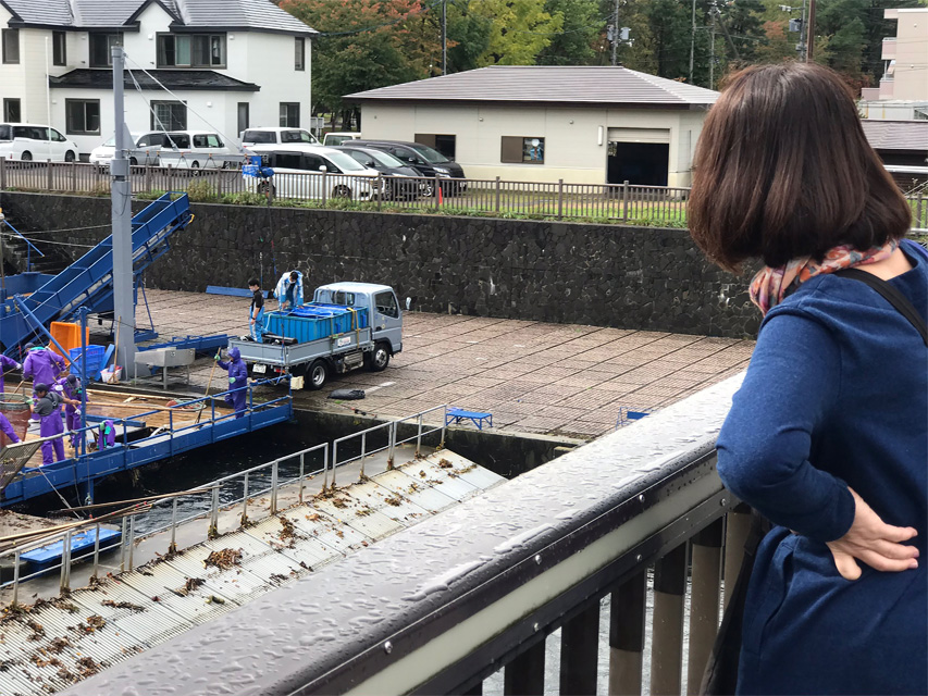 f:id:chiyan1026:20201110091729j:plain f:id:chiyan1026:20201110091729j:plain