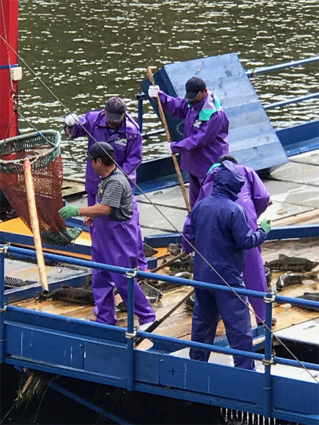 f:id:chiyan1026:20201110091751j:plain f:id:chiyan1026:20201110091751j:plain