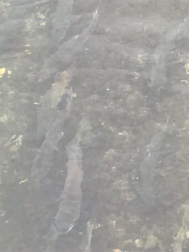 f:id:chiyan1026:20201110091817j:plain f:id:chiyan1026:20201110091817j:plain