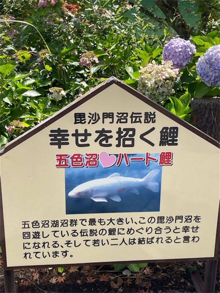 f:id:chiyan1026:20260918155748j:image