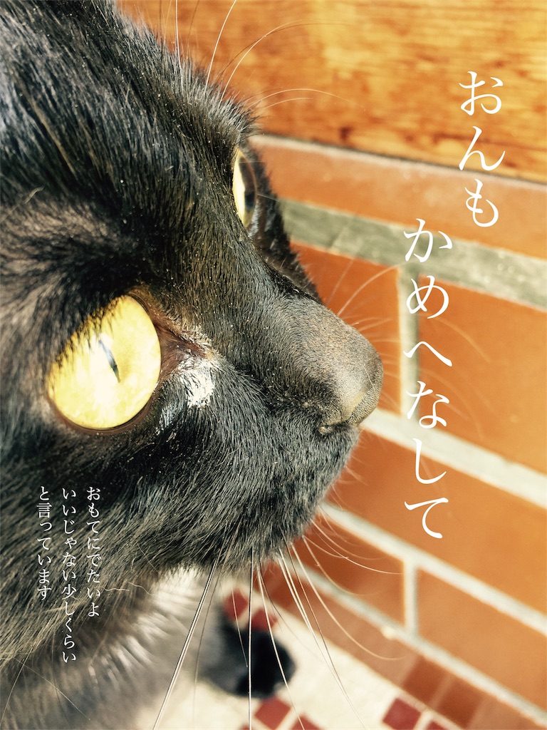 f:id:chiyan226:20170511124340j:image