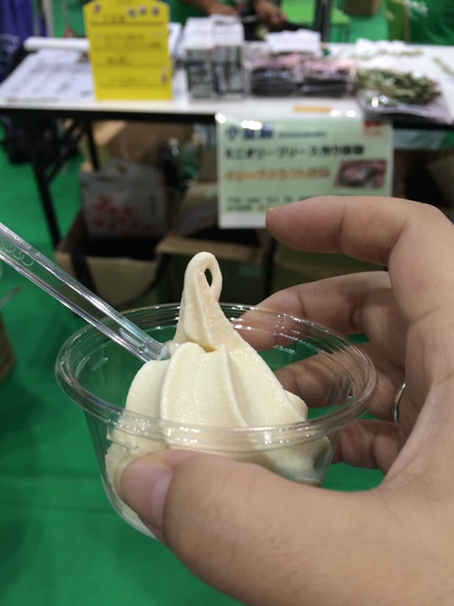 「ツーリズムEXPOジャパン 2016 @Tokyo」レポート