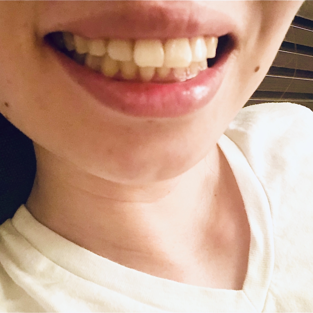 f:id:chiyobi:20191118230122j:plain