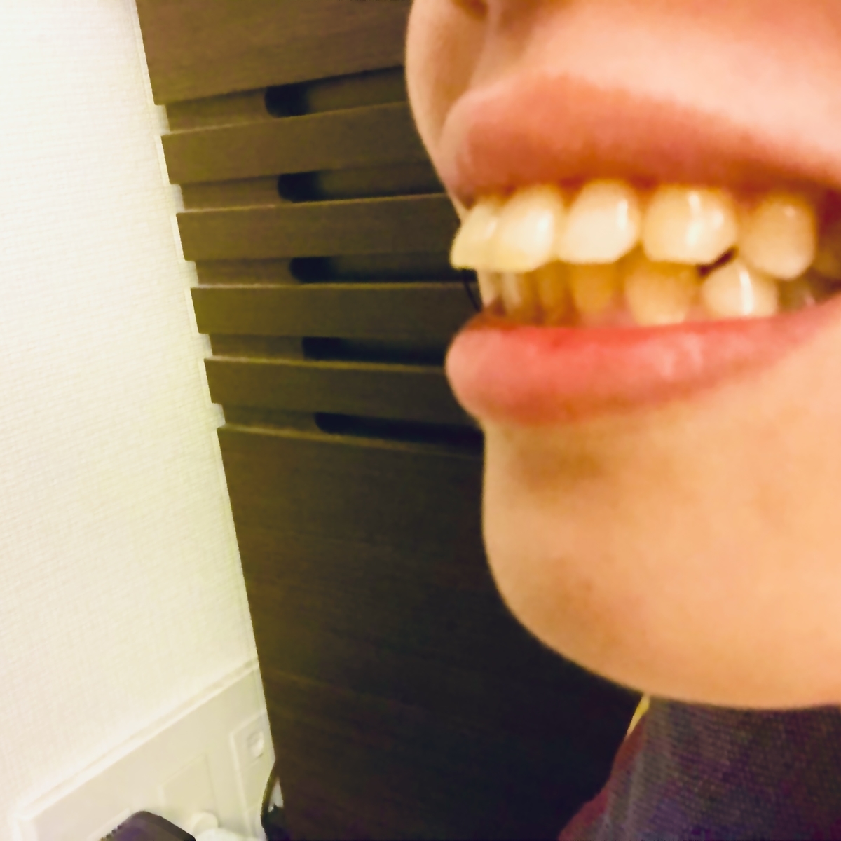 f:id:chiyobi:20191118230134j:plain