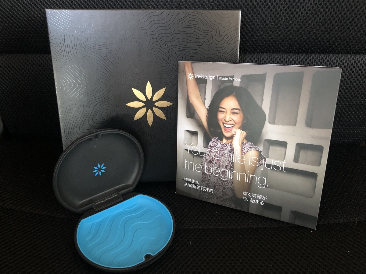 f:id:chiyobi:20191119210228j:plain