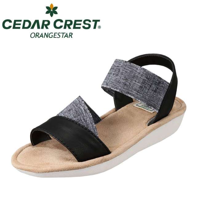 f:id:chiyodamag:20190524124054j:plain f:id:chiyodamag:20190524124054j:plain