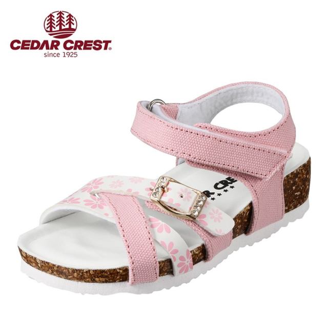 f:id:chiyodamag:20190529165330j:plain f:id:chiyodamag:20190529165330j:plain