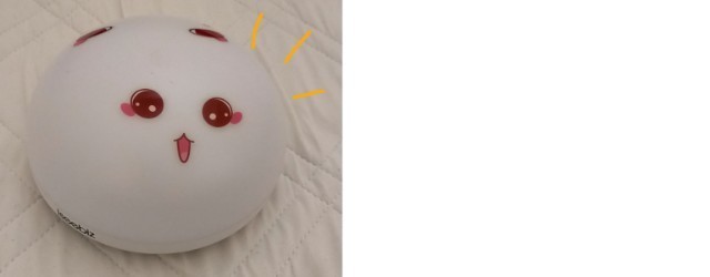 f:id:chiyohapi:20210722064017j:image