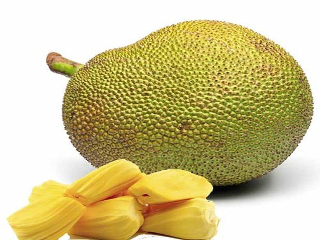 f:id:chiyonishiki:20190619165323j:plain