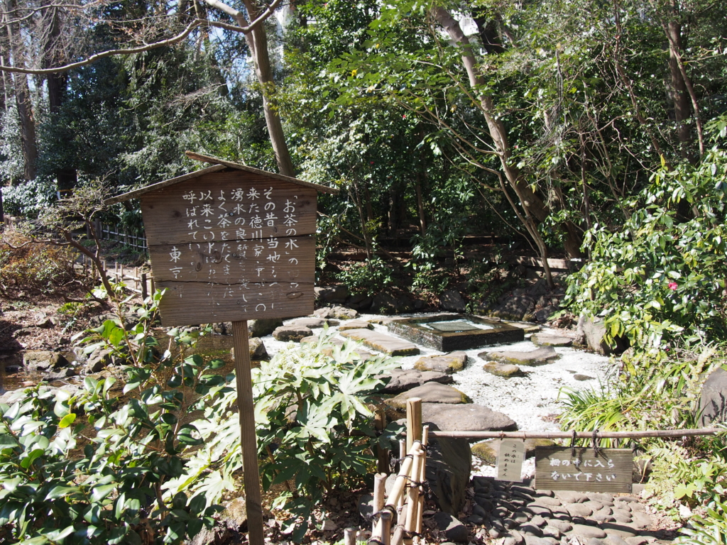 f:id:chizuchizuko:20170226192125j:plain f:id:chizuchizuko:20170226192125j:plain