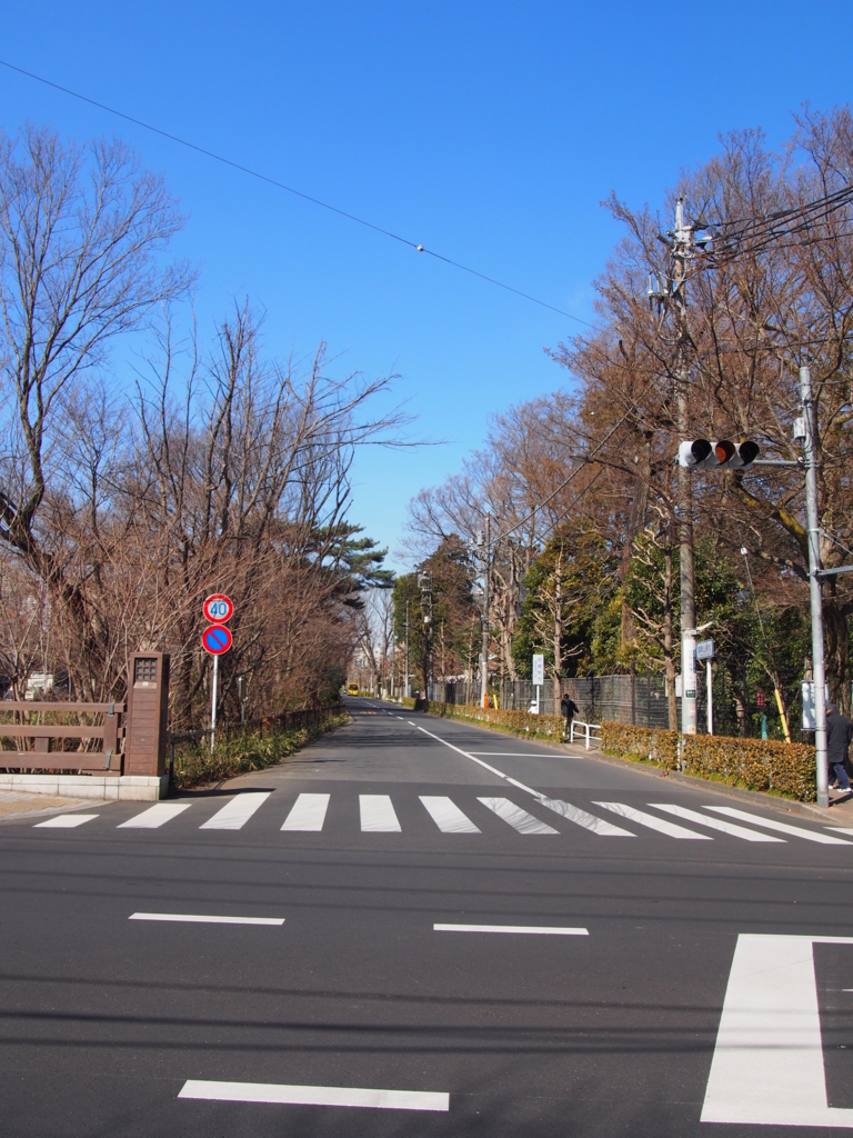 f:id:chizuchizuko:20170226192343j:plain f:id:chizuchizuko:20170226192343j:plain