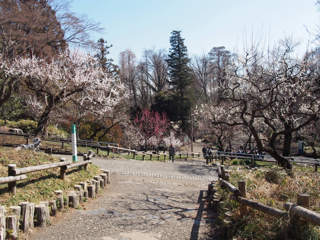f:id:chizuchizuko:20170226192444j:plain f:id:chizuchizuko:20170226192444j:plain