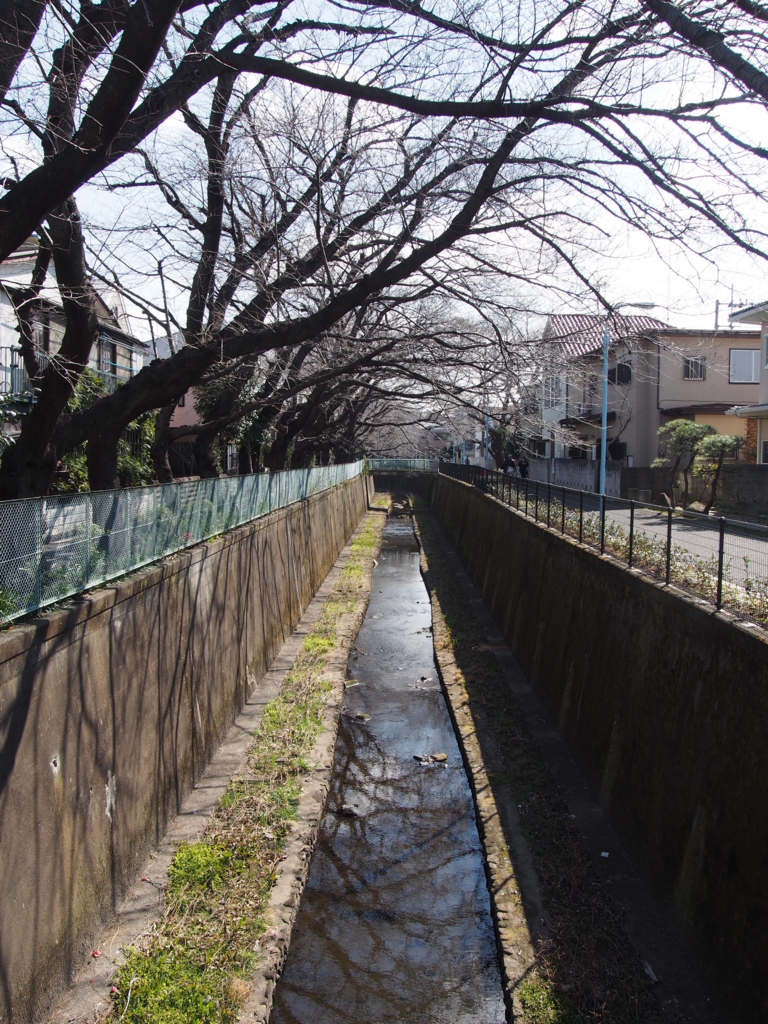 f:id:chizuchizuko:20170226195224j:plain f:id:chizuchizuko:20170226195224j:plain