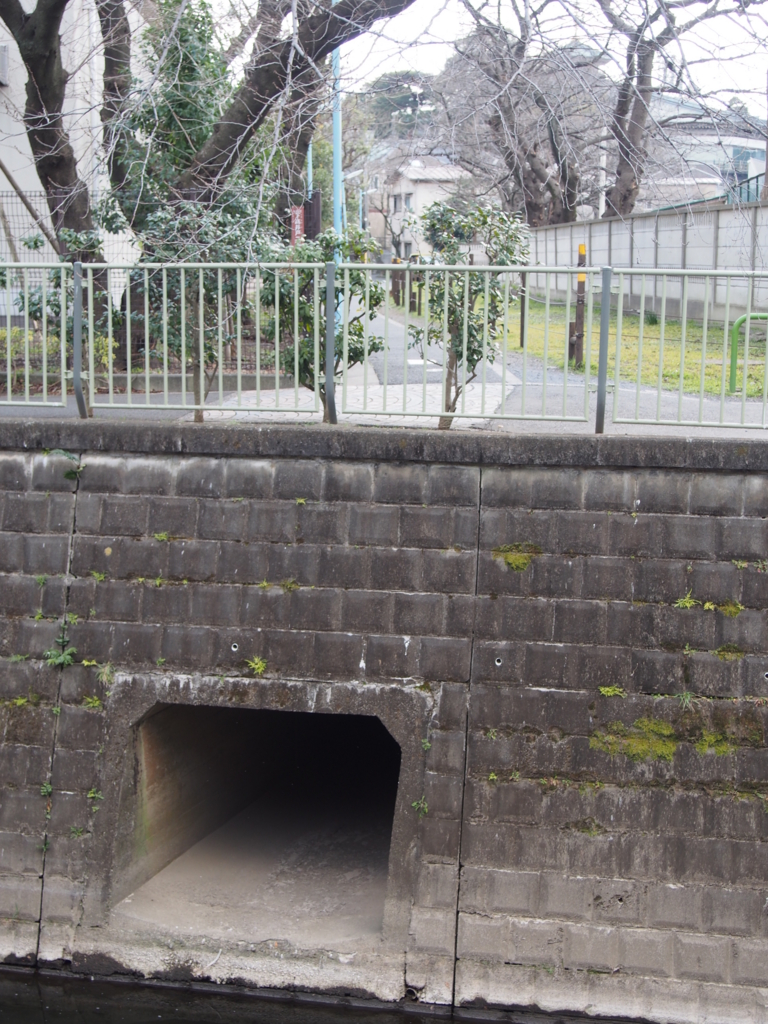 f:id:chizuchizuko:20170226203111j:plain f:id:chizuchizuko:20170226203111j:plain