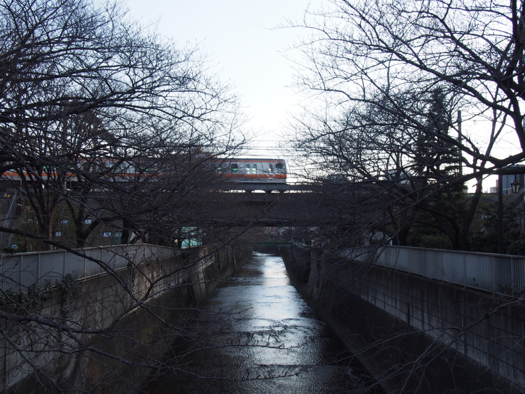 f:id:chizuchizuko:20170228233223j:plain