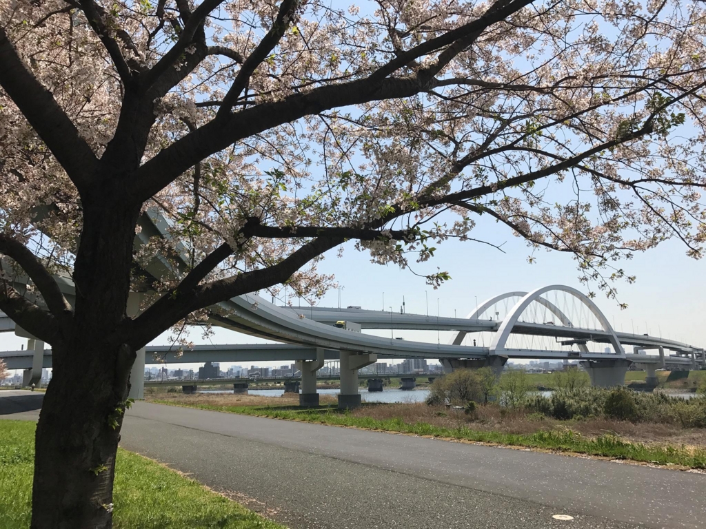 f:id:chizuchizuko:20170416215342j:plain