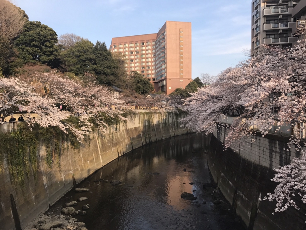 f:id:chizuchizuko:20170422113957j:plain