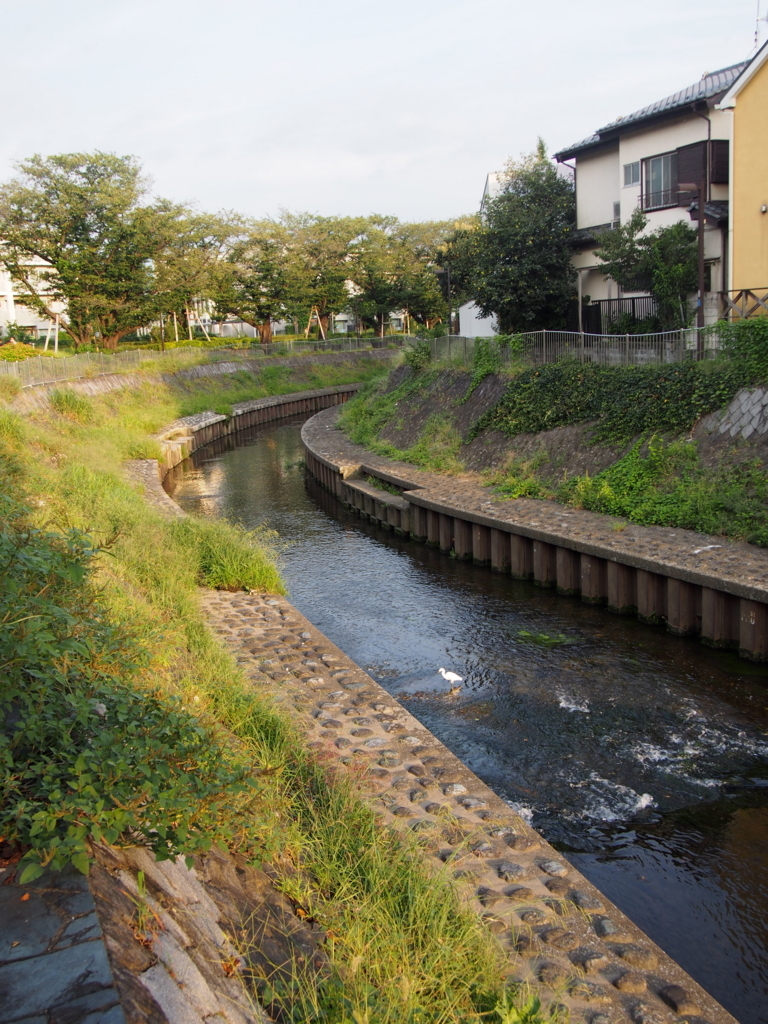 f:id:chizuchizuko:20170915235134j:plain f:id:chizuchizuko:20170915235134j:plain