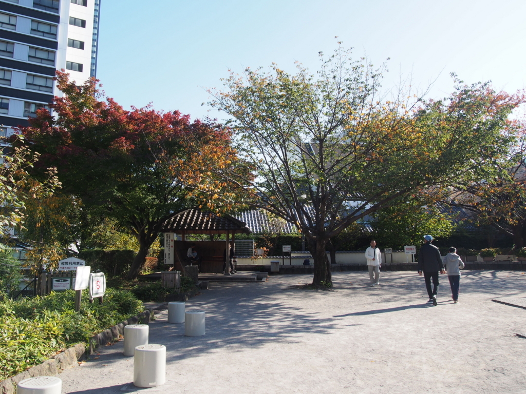 f:id:chizuchizuko:20171113180659j:plain f:id:chizuchizuko:20171113180659j:plain