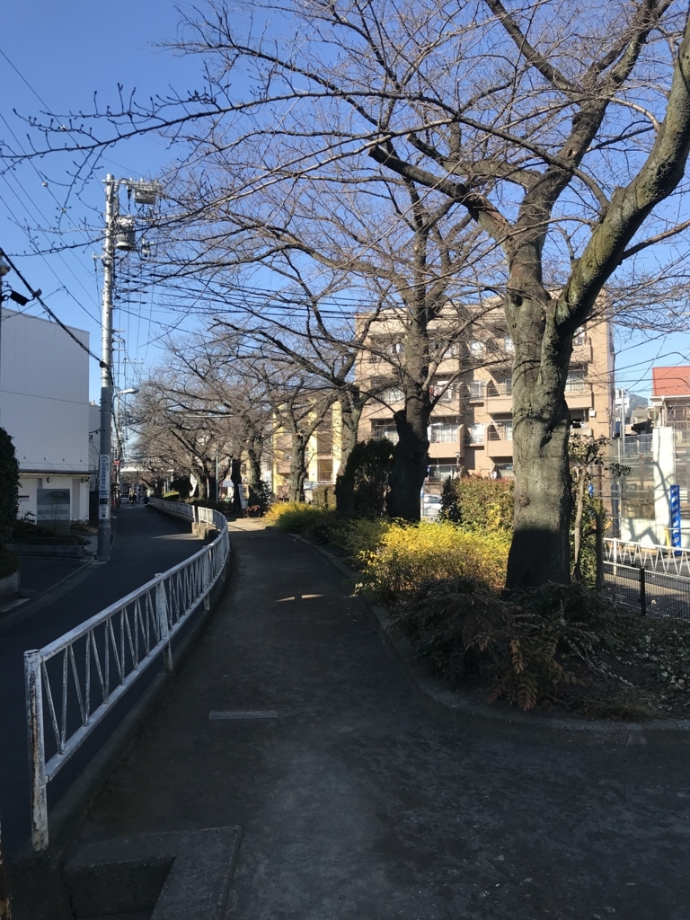 f:id:chizuchizuko:20171223174255j:plain