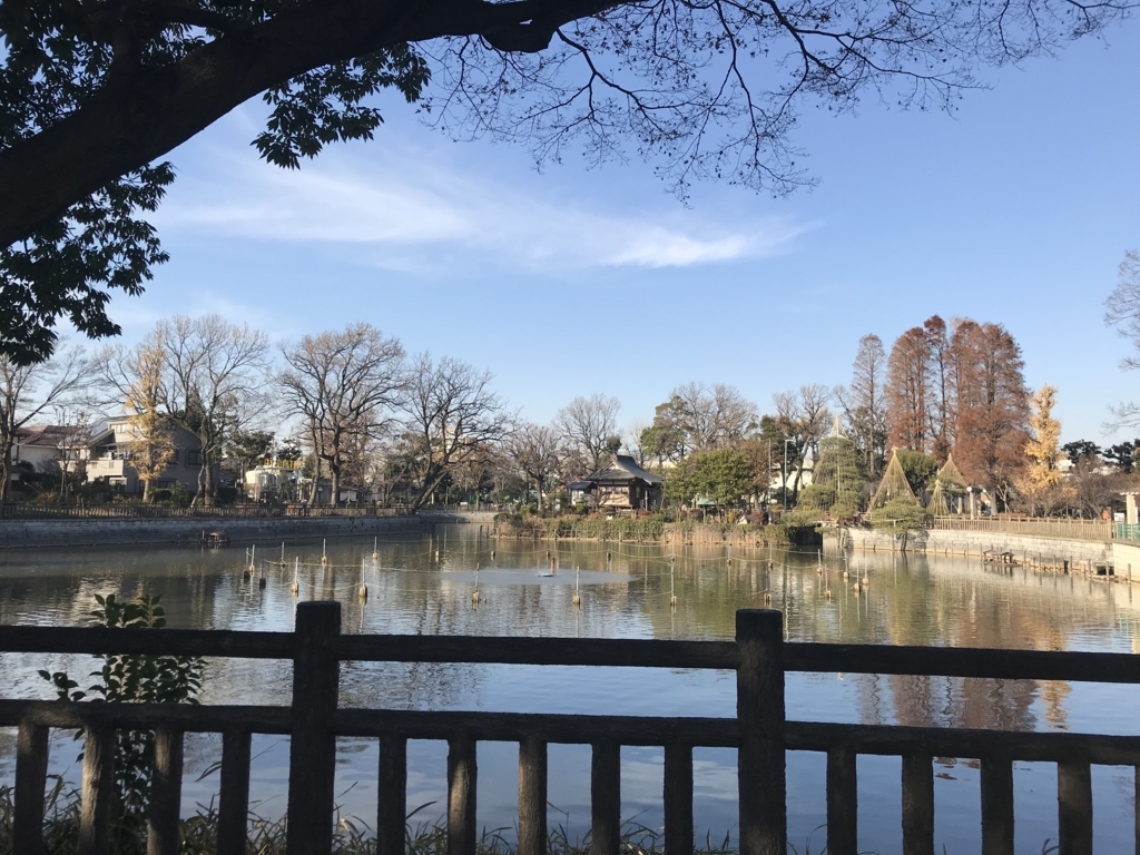 f:id:chizuchizuko:20171223174659j:plain