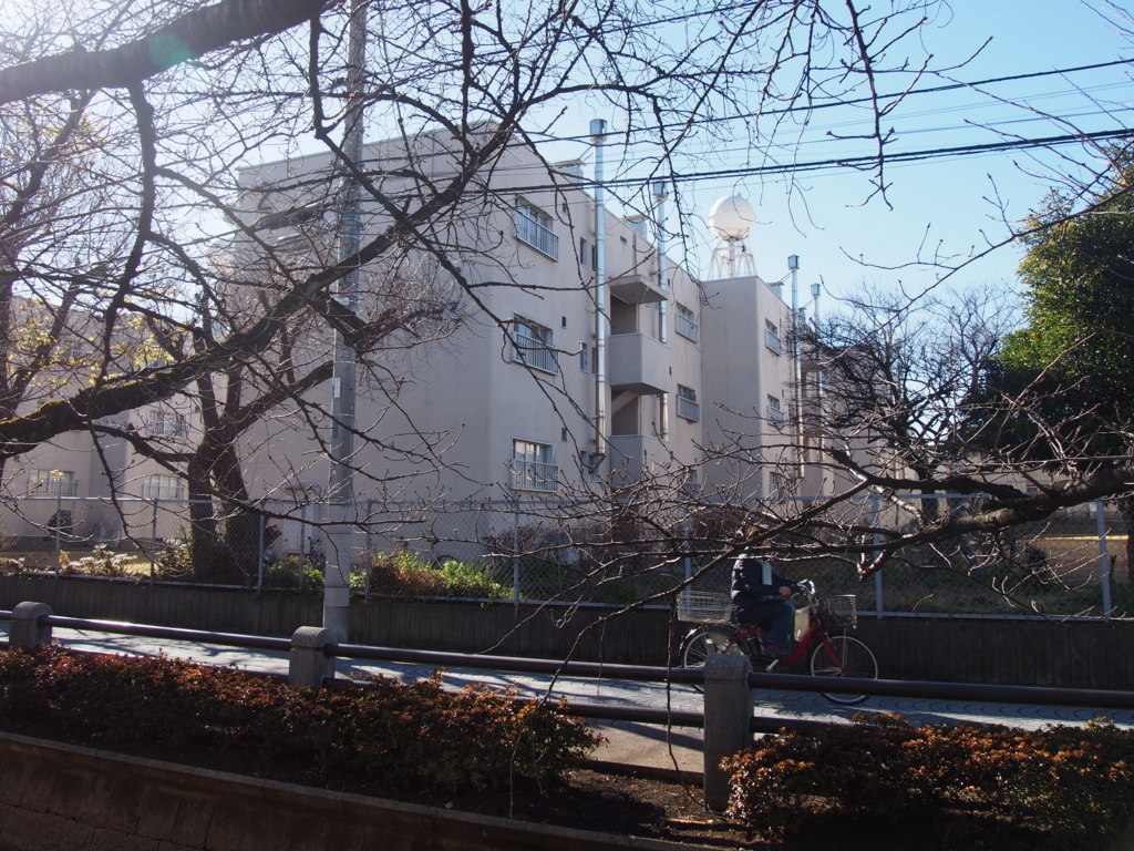 f:id:chizuchizuko:20180102001422j:plain f:id:chizuchizuko:20180102001422j:plain