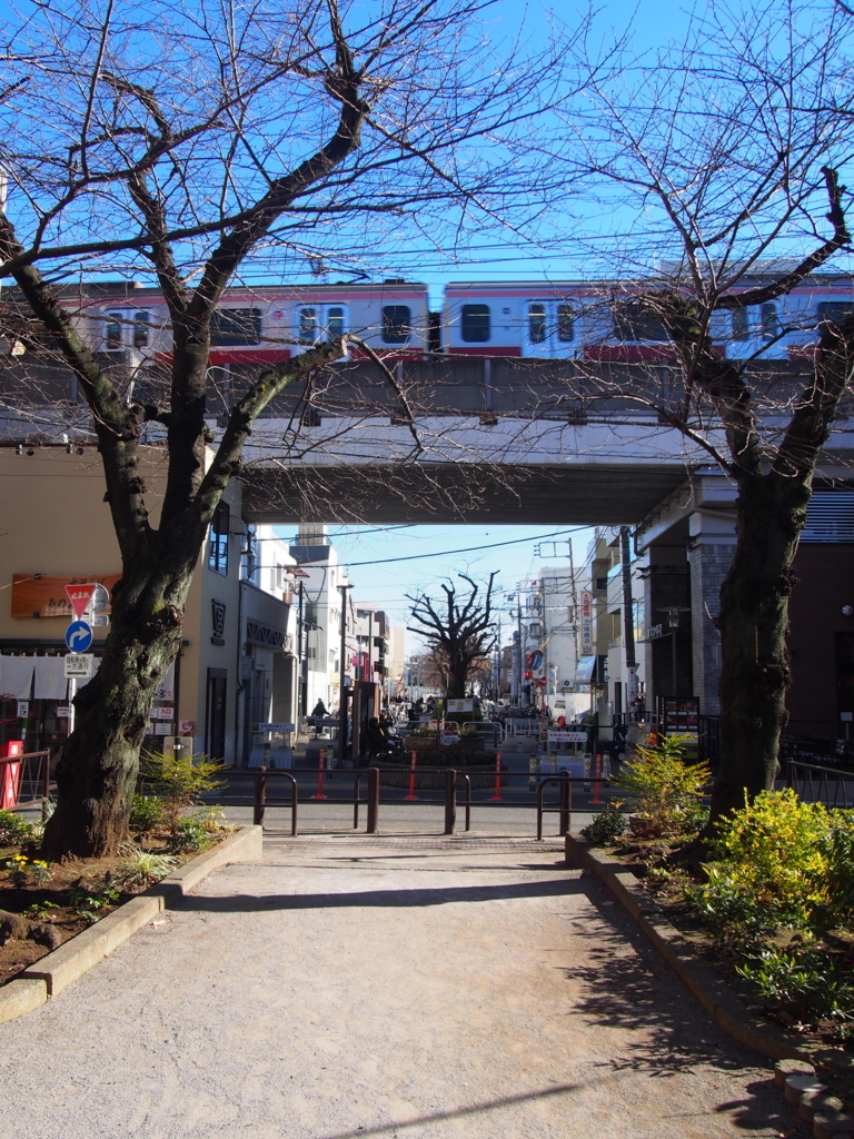 f:id:chizuchizuko:20180102123242j:plain f:id:chizuchizuko:20180102123242j:plain