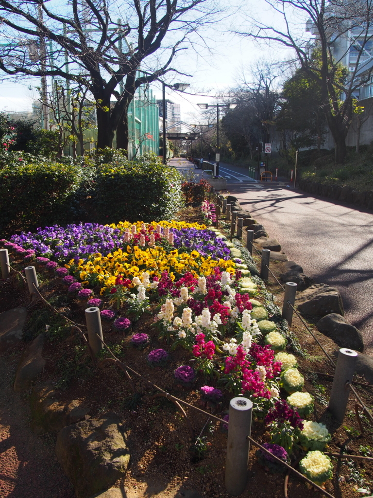 f:id:chizuchizuko:20180102124010j:plain f:id:chizuchizuko:20180102124010j:plain