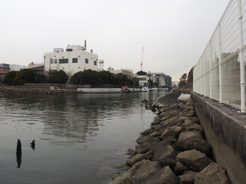 f:id:chizuchizuko:20180114222141j:plain f:id:chizuchizuko:20180114222141j:plain