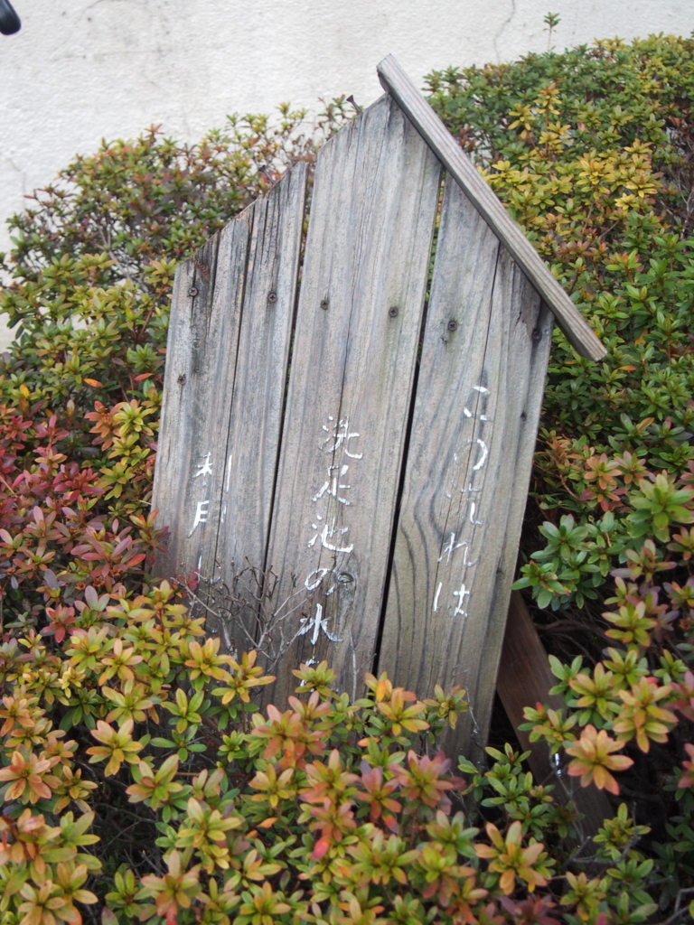 f:id:chizuchizuko:20180123222803j:plain