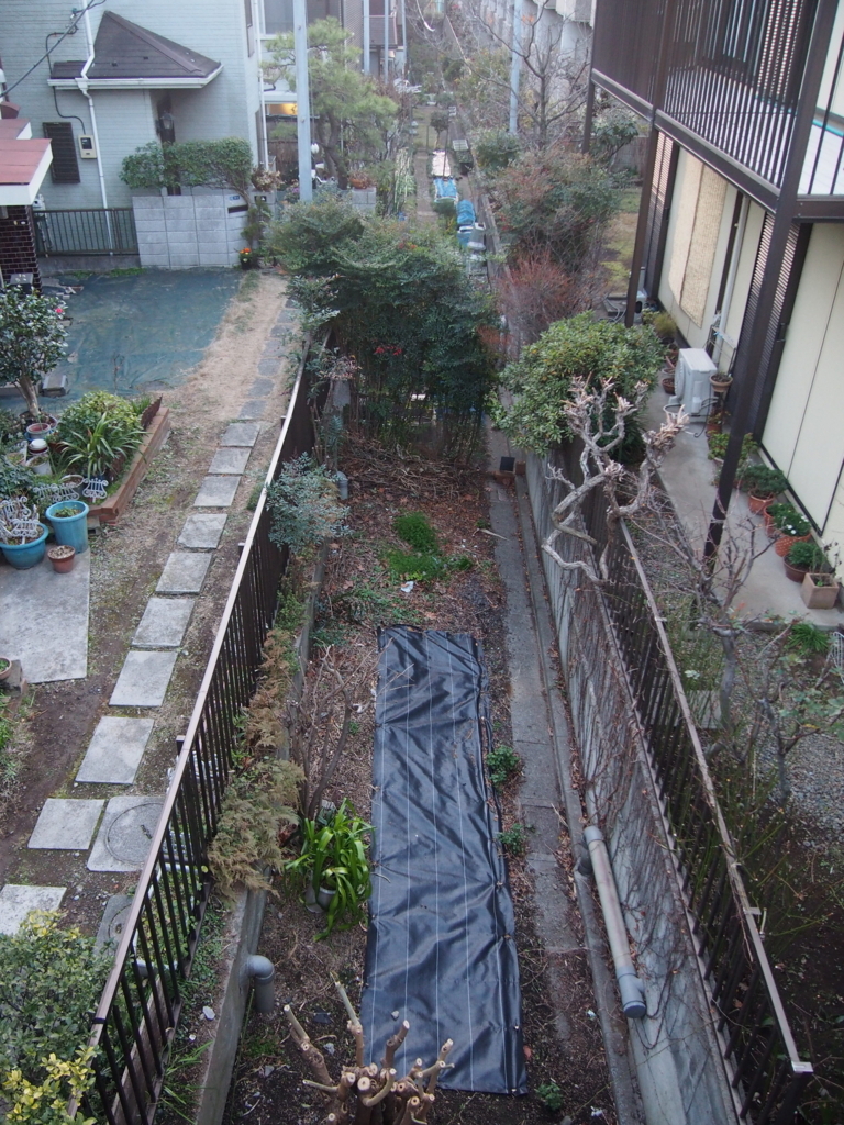 f:id:chizuchizuko:20180123223815j:plain