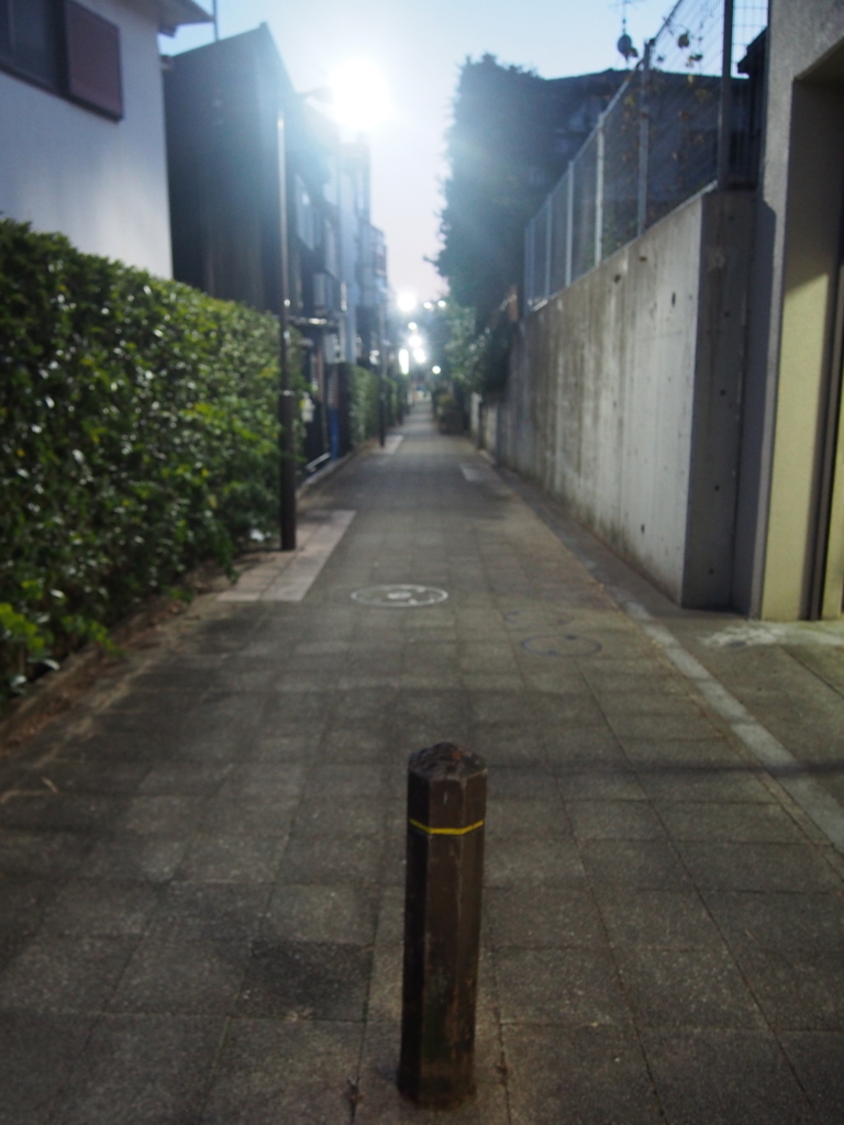 f:id:chizuchizuko:20180123225607j:plain
