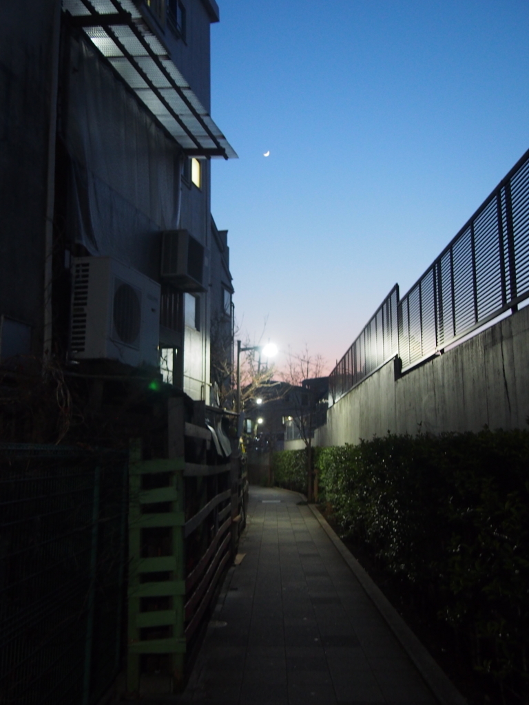 f:id:chizuchizuko:20180123225927j:plain