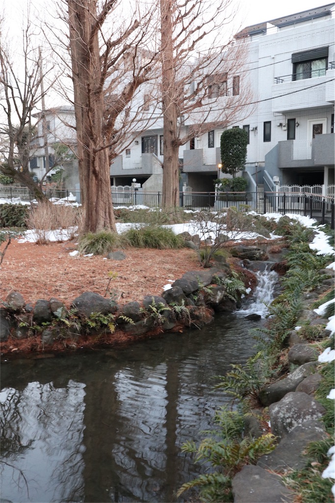 f:id:chizuchizuko:20180128180044j:image