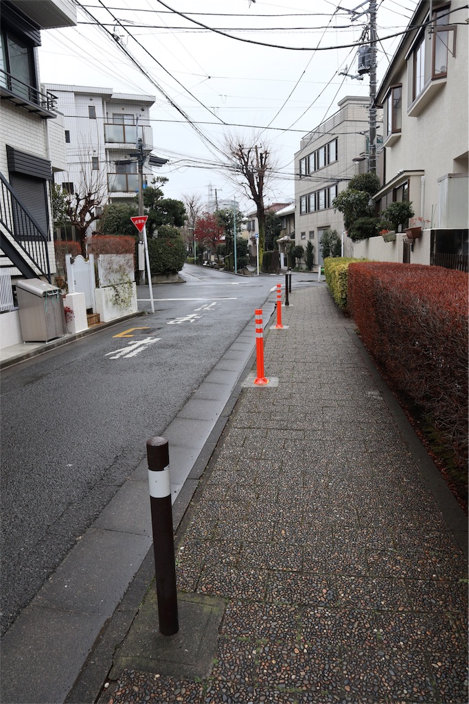 f:id:chizuchizuko:20180202135231j:image