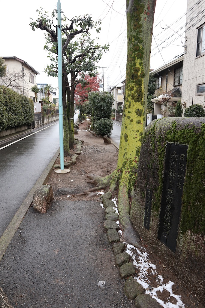 f:id:chizuchizuko:20180202135315j:image