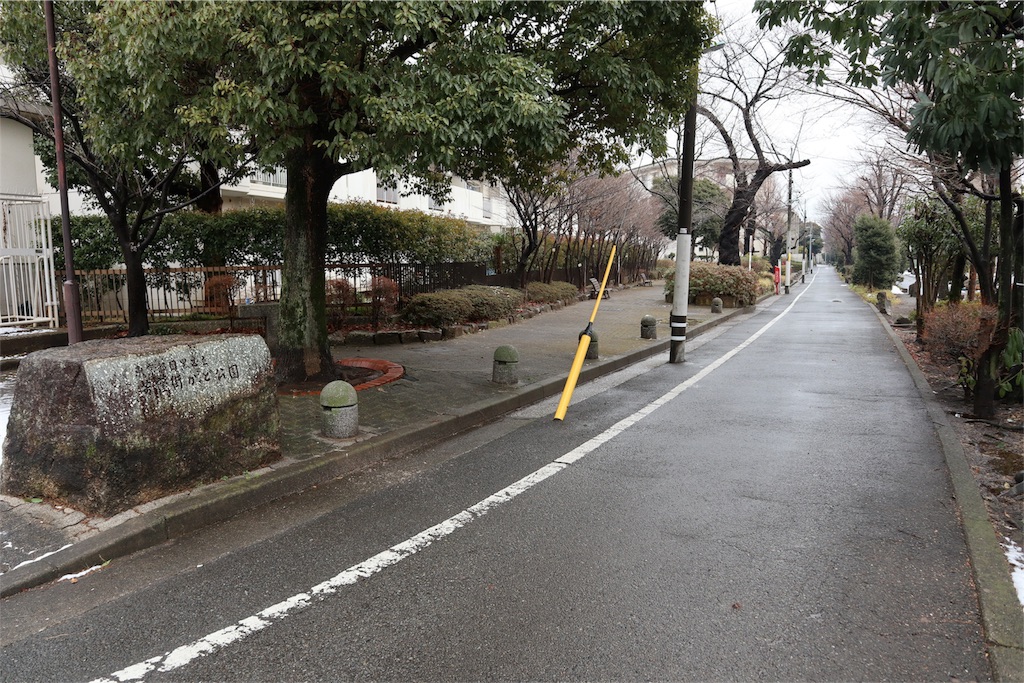 f:id:chizuchizuko:20180202135434j:image