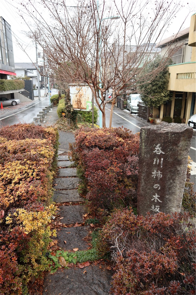 f:id:chizuchizuko:20180202135652j:image