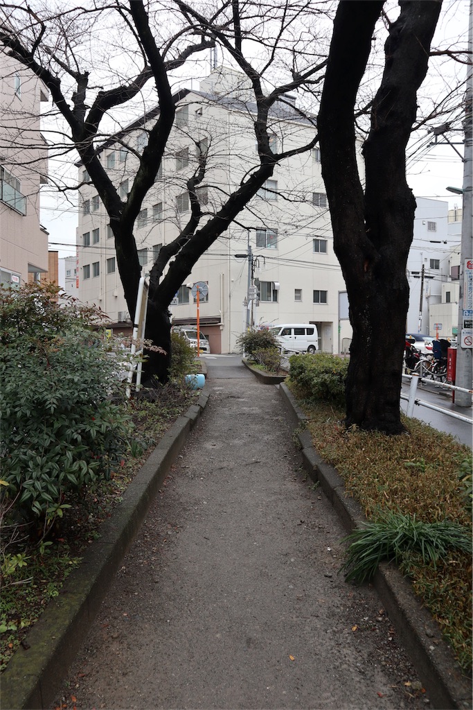 f:id:chizuchizuko:20180202135756j:image