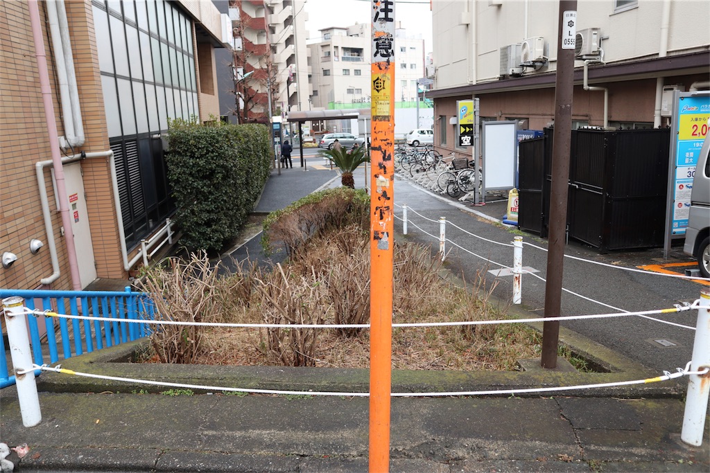 f:id:chizuchizuko:20180202135818j:image