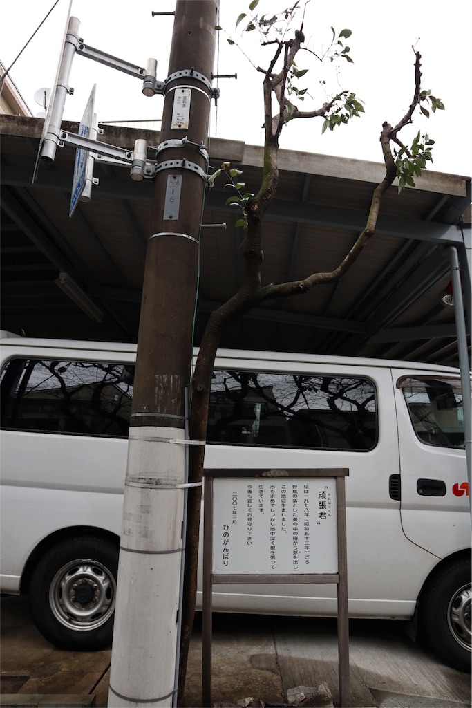 f:id:chizuchizuko:20180202211733j:image