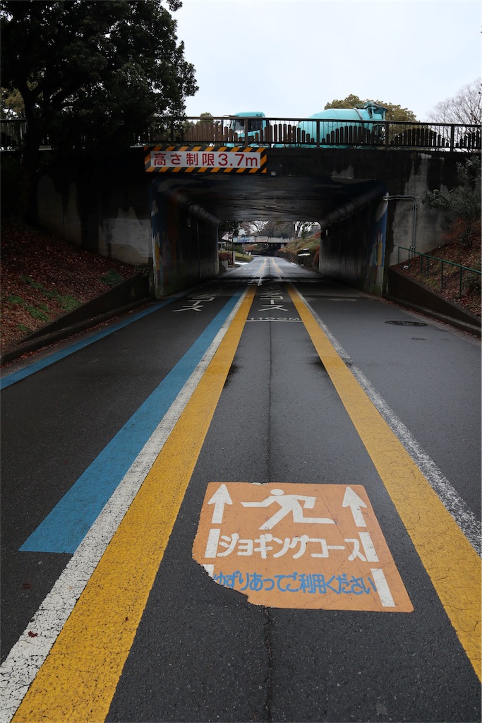 f:id:chizuchizuko:20180202212048j:image