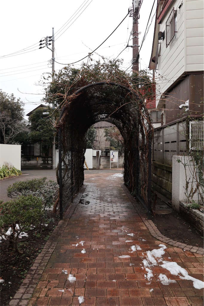 f:id:chizuchizuko:20180202212757j:plain f:id:chizuchizuko:20180202212757j:plain