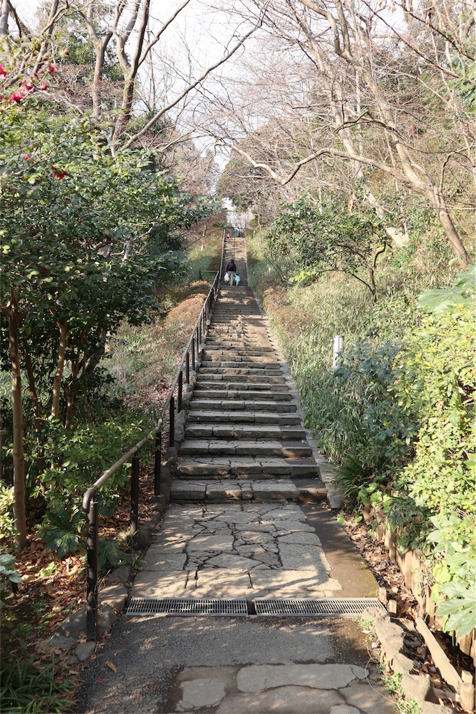 f:id:chizuchizuko:20180211161501j:image