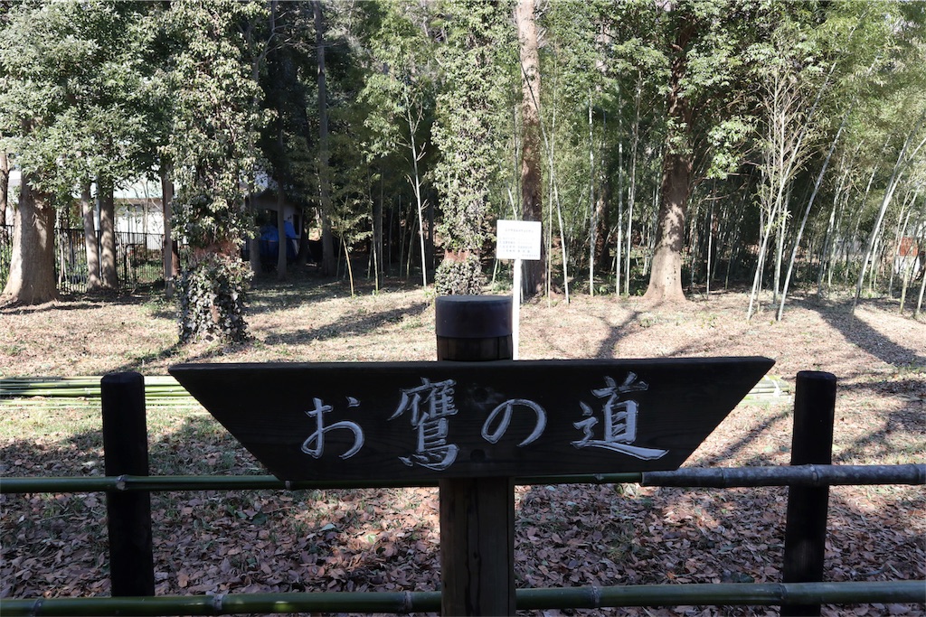 f:id:chizuchizuko:20180218211450j:image